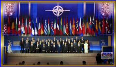 NATO75DC7924 b (15).jpeg